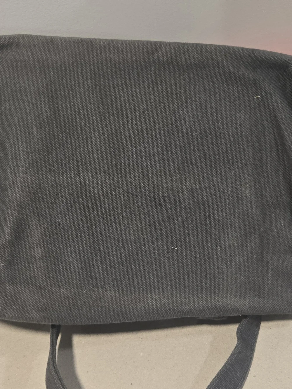 Love Thy Beast Gray Canvas Pet Tote